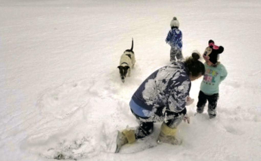 Reader's Snow Day pics